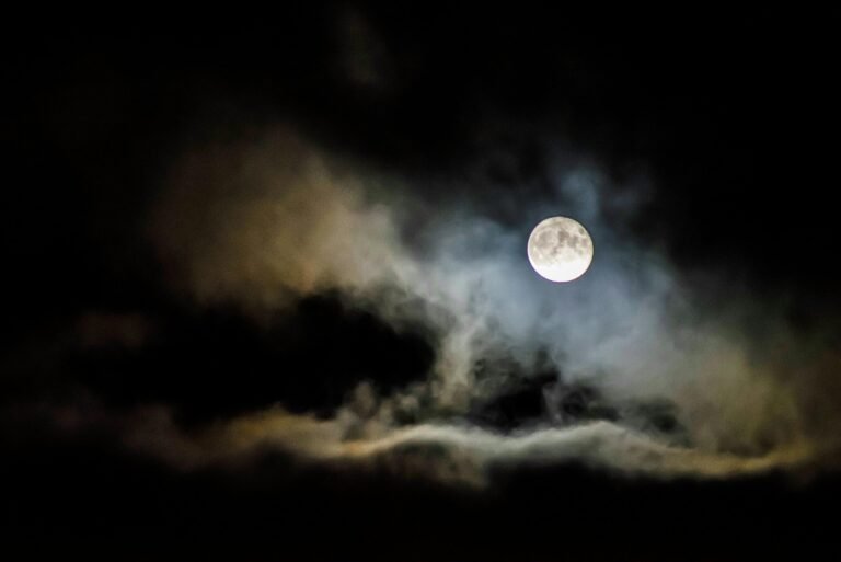 Spanish Word of the Day: Noche